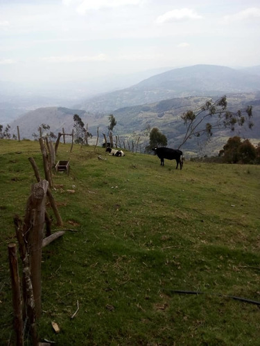 Imagen 15 de 20 de Finca En Casa Via El Padre De 45 Hectáreas