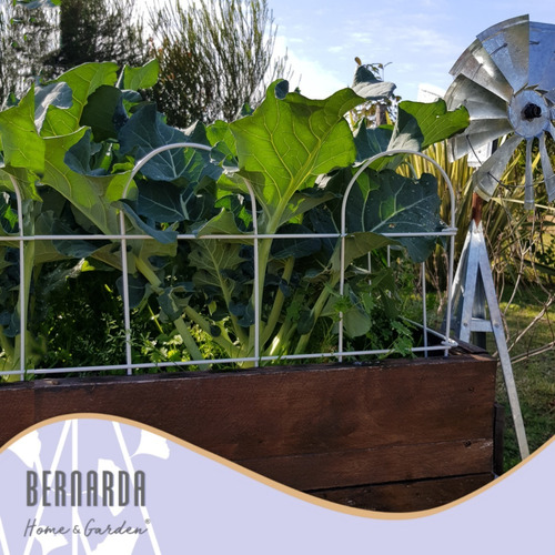 Imagen 7 de 10 de Cerco Decorativo De Hierro Jardin X 6,40mt Blanco Verde