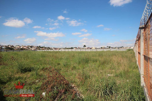 Imagem 7 de 22 de Terreno Industrial À Venda, Novo Mundo, Curitiba - Te0029. - Te0029