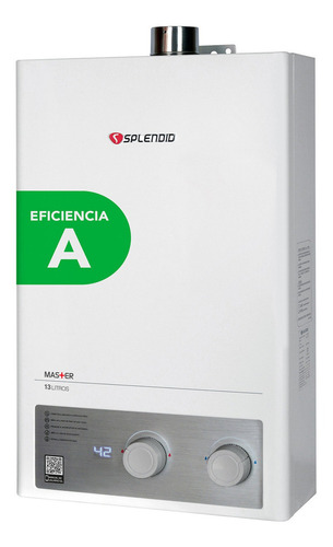 Calefon Gas Natural 13 Litros Tiro Forzado Splendid Tipo De Gas Gn