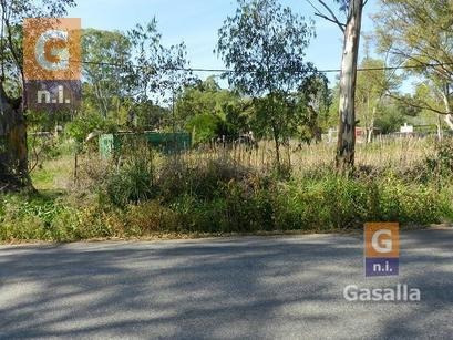 Imagen 8 de 10 de Terreno En Punta Del Este (el Tesoro) - Ref. 1467