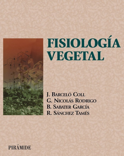 Fisiologãâa Vegetal, De Barceló Coll, Juan. Editorial Ediciones Pirámide, Tapa Blanda En Español
