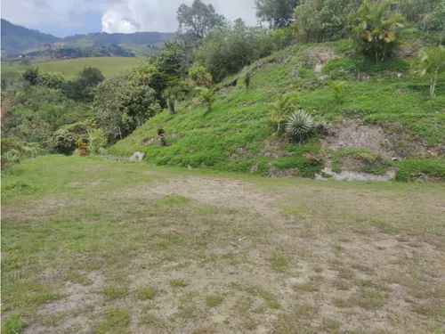 Lote En Girardota Vereda El Limonar