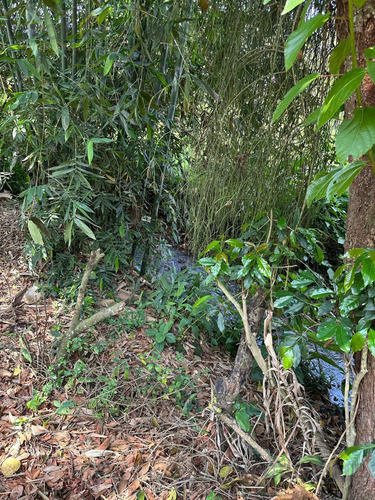 Terreno En Venta En Coatepec Zona Los Carriles