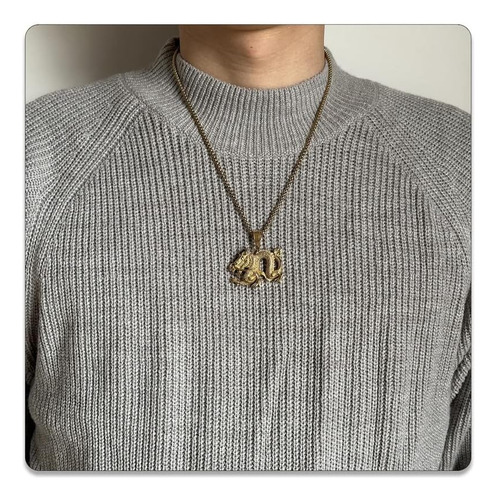 Collar Con Colgante De Dragón Animal De Acero Inoxidable Con