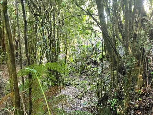 Excelente Sitio Ubicado En Castro