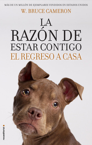 La Razãâ³n De Estar Contigo. El Regreso A Casa, De Cameron, W. Bruce. Roca Editorial, Tapa Blanda En Español