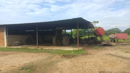 Imagen 11 de 27 de Se Vende Finca Hacienda En Estado Zulia, Ml