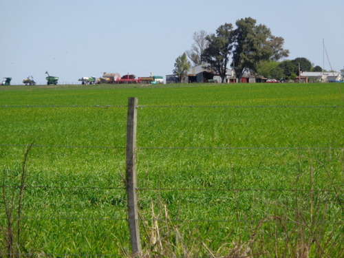 Campo Agrícola A Poca Distancia De Ruta Nacional 14 Camino Mejorado, A 240 Km De Buenos Aires, Apto Varios Destino