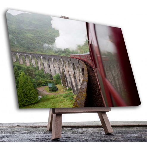 Cuadro Decorativo Canvas Paseo En Tren