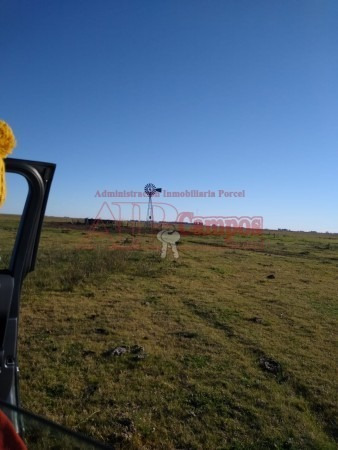 Imagen 8 de 13 de Venta, Campo Ganadero En Laprida, Provincia De Buenos Aires.