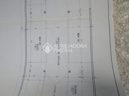 Imagem 12 de 15 de Terreno - Bom Jesus - Ref: 176945 - V-176945