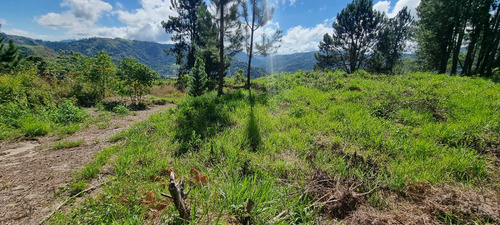 Gran Lote De Terreno En Urbanización Cerrada