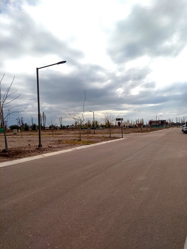 Lotes Venta Lujan De Cuyo B. La Luisa