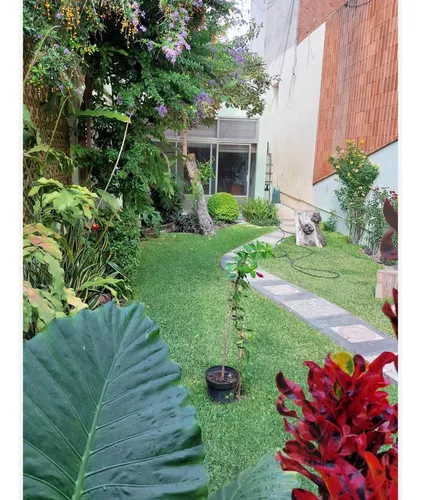 Casa En Venta En Atlixco Centro
