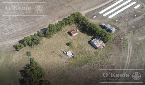Campo De 380 Has En Coronel Pringles. 100 % Agrícola - Sobre Ruta !