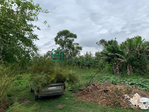 Imagem 4 de 14 de Chácara Em São Domingos - Suzano - 284