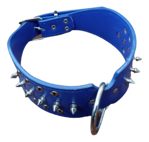 Collar De Cuero Para Perros Grandes / Rrstore