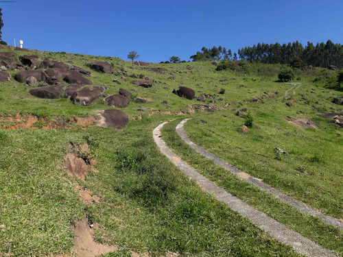 Imagem 10 de 30 de Vendo Chácara 30.000 M² Morungaba Com Casas, Nascente, Lago Piscina, Pasto. - Ch00018 - 33766655