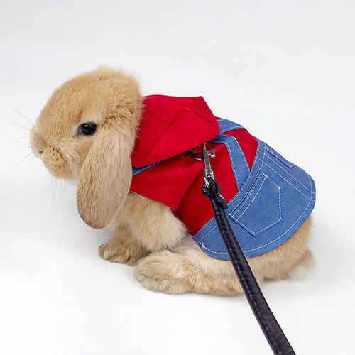 Suministros Para Mascotas Animales Pequeños Metro Rojo