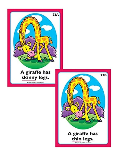 Juegos De Mesa Sinónimos Fun Cubierta Tarjetas