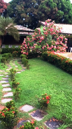 Imagem 4 de 26 de Sitio Com 7.500m2 De Terreno Em Abrantes - Iur411p - 68297291