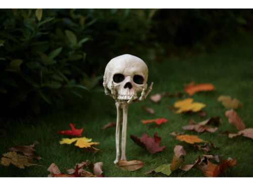 Seasons Crazy Bones 18 In. Skeleton Arm/hand Yard Decor (p