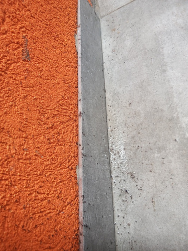 Fumigaciones Cucarachas Hormigas Desratizacion Zona Sur