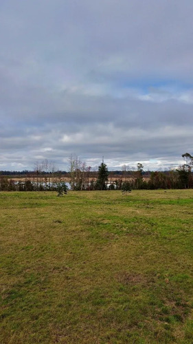 Parcela De 5.000 M2 Vista Río Cruces, San José Mariquina