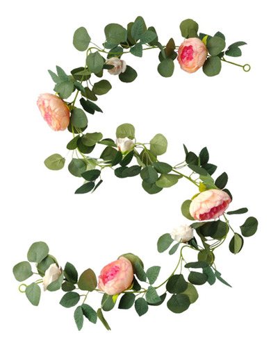 Flores De Peonía, Enredaderas Colgantes, Enredaderas, Flor