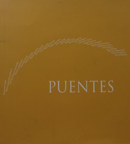 Puentes Museo De Bellas Artes 