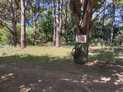 Imagen 2 de 3 de Terreno - Costa Del Este
