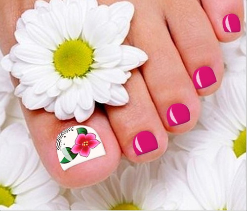 Cartelão 336 Películas De Unhas Para Os Pés E Mãos