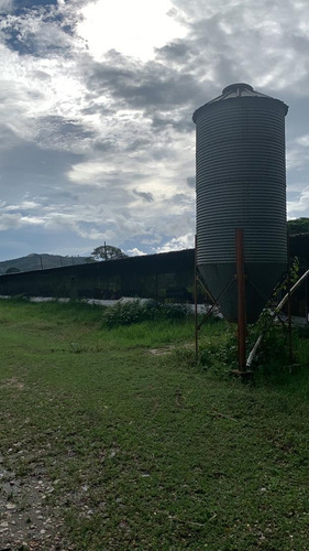 Finca Agropecuaria En Montalbán Cod. Indif-046