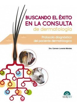 Buscando El Éxito En La Consulta De Dermatología