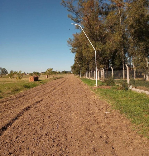 Imagen 11 de 14 de Terreno - Esperanza