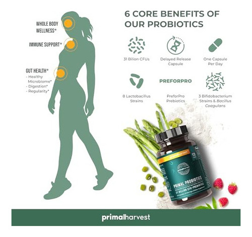 Primal Harvest Prebióticos Y Probióticos Para Mujeres Y Ho