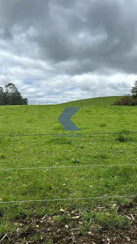 Lindo Terreno En Venta En Los Muermos