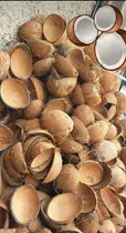 Comprar Conchas De Coco Cascaras Helados  Dulces Cremas Velas Postre