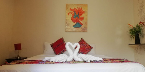 Imagen 13 de 26 de Hotel Boutique Campeche Centro