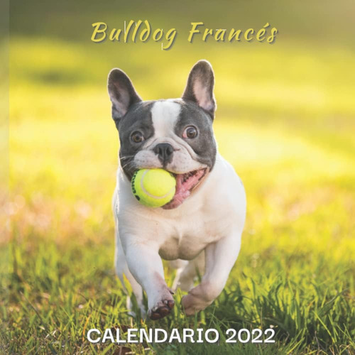 Libro: Calendario 2022 Bulldog Francés: Mensual De Enero A D