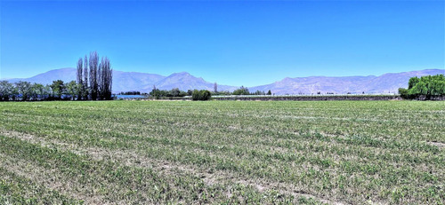 En Venta Parcela En San Rafael, San Felipe, 75.600 M2., En P