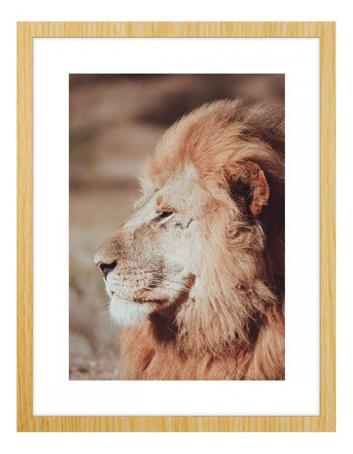 Marcos decorativos de león con cristal 94 cm x 64 cm 591001
