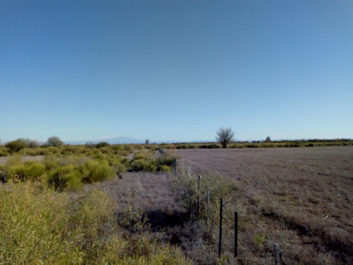 Imagen 19 de 26 de Venta Campo 103 Ha General Alvear