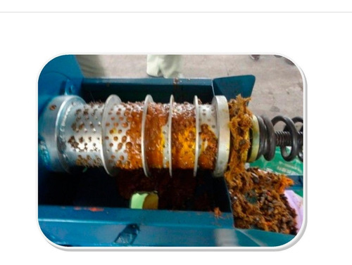 Imagen 3 de 6 de Prensa De Extracción En Frío Aceite De Palma Africana