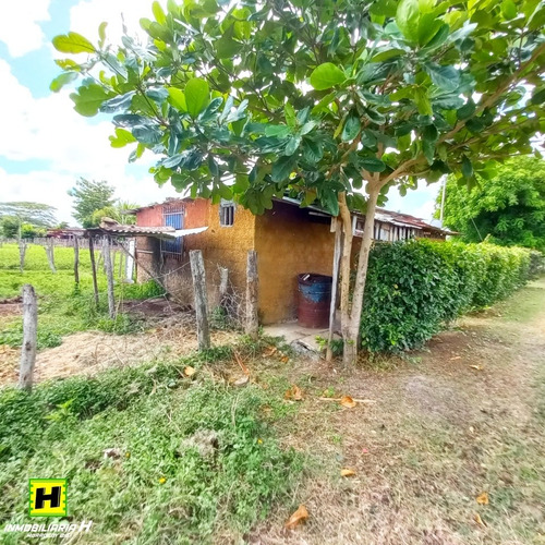 Imagen 9 de 13 de Preciosa Finca Para Fines De Posada En Tucacas