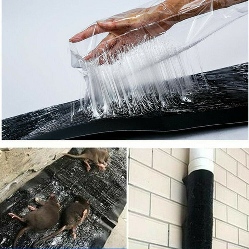 Trampas De Pegamento Para Ratones Pegajosa Ardilla Negro