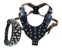 Comprar Perro Grande De Cuero Negro Tachonado Arnés Y Collar Set Pit