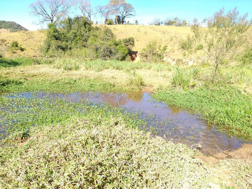 Imagem 11 de 28 de Fazenda 80 Alqueires Sendo 20 Alqueires Mata App, Casa Sede(em Reforma) E Caseiro Agua Nascente Riacho - Fa00019 - 69584449