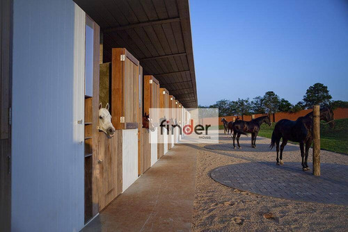 Imagem 13 de 19 de Casa À Venda Na Fazenda Boa Vista, Projeto Jacobsen Arquitetura, Paisagismo De Rodrigo De Oliveira, 1280 M², 5 Suítes, Piscina, Área Gourmet E Mais - Ca1045